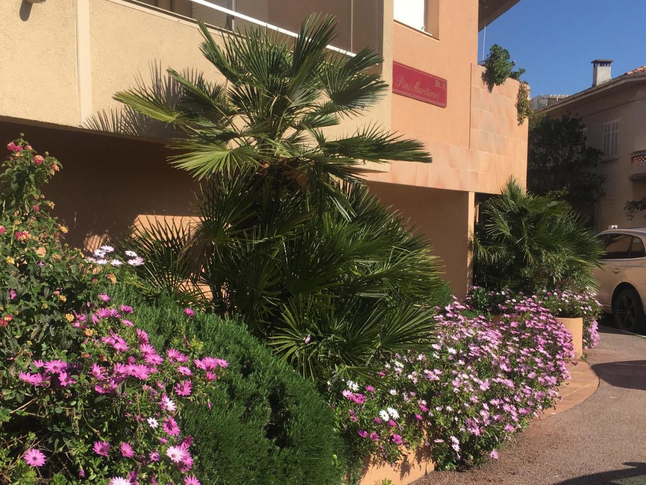 Les Pins Maritimes Appartamento Fréjus Esterno foto